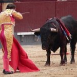 Matador toro