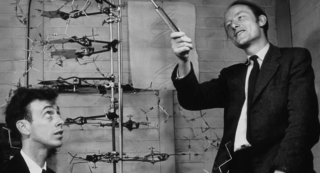 Watson y Crick con su modelo de adn hecho en metal