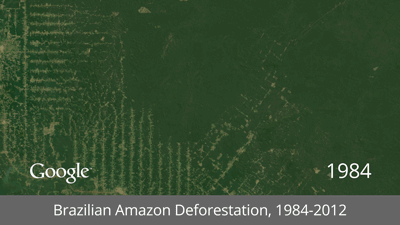 Deforestación de la Selva Amazónica, Brasil