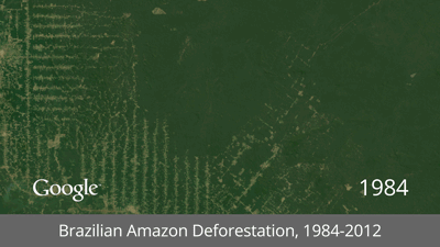 Deforestación de la Selva Amazónica, Brasil Deforestación de la Selva Amazónica, Brasil
