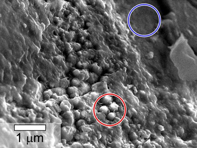 Yamato-spherules