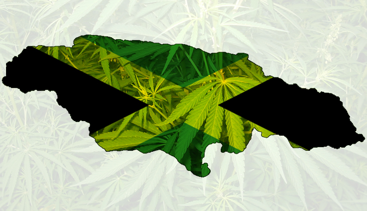 Parte de los beneficios que esperan traiga la legalización de la marihuana en la isla es una mejora en la situación económica nacional. 