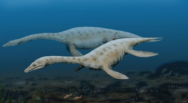 El fósil pertenece a uno de los animales prehistóricos más grandes que se han encontrado / Foto: Wikipedia - Nobu Tamura