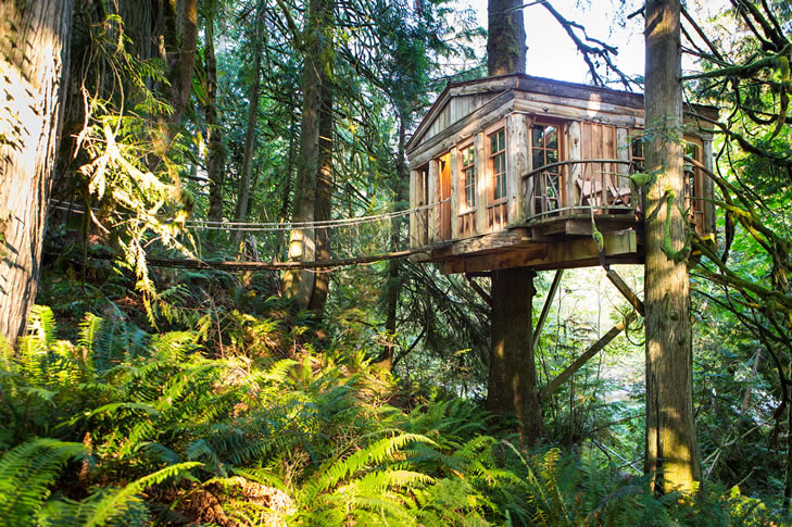 Hotel de casas del árbol en el bosque Hotel de casas del árbol en el bosque