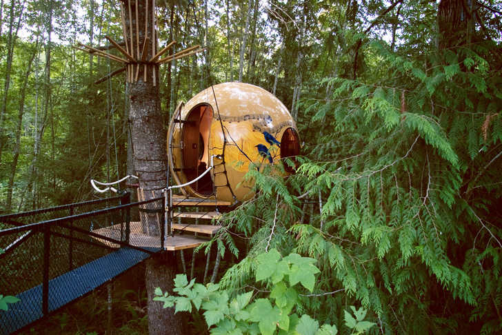 Casas del árbol esféricas suspendidas en los árboles Casas del árbol esféricas suspendidas en los árboles