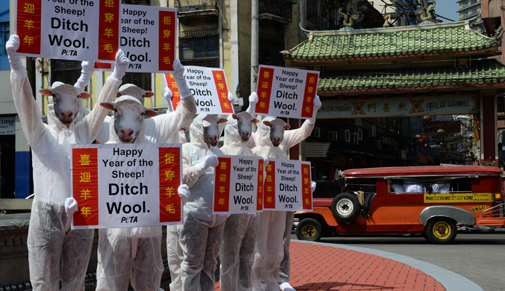 Varios activistas aprovechan la celebración para manifestarse en contra del maltrato contra este animal festejado en el año nuevo chino 2015. / Foto: Ted Aljibe - AFP