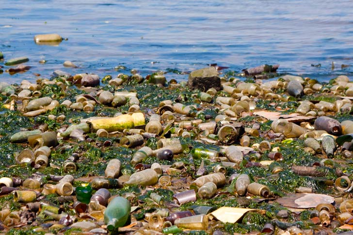 Un promedio de 8 millones de toneladas de basura plástica fue a parar al océano en el 2010 