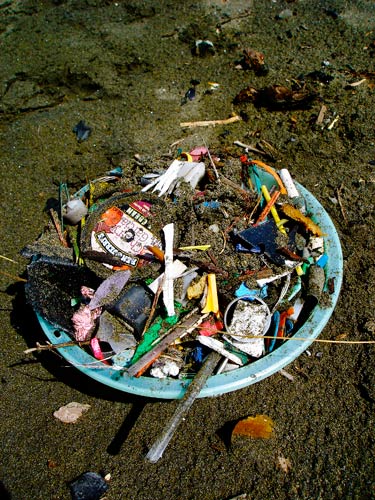 Basura plástica pero también vidrios rotos, metales y cigarrillos, entre otros, llegan al océano cada año 