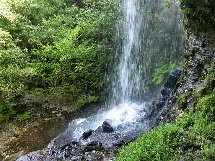 La cascada de San Esteban do Ermo, Lugo se esconde en un monte nativo espeso 