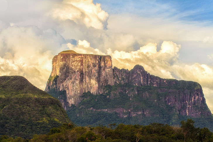Cerro Autana o "Árbol de la Vida" en Venezuela