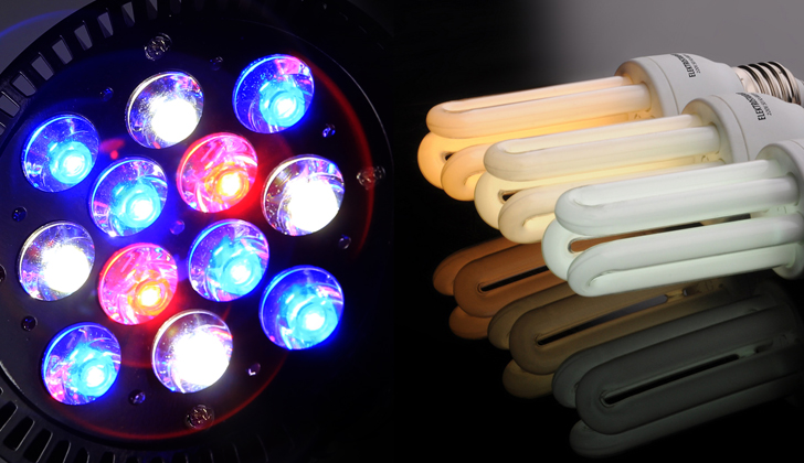 El uso de bombillas LED y fluorescentes ayuda a usar la energía eléctrica de forma eficiente. Las LED tienen una vida útil de hasta 100,000 horas, mientras que la fluorescente tiene 40,000. Las antiguas bombillas incandescentes solamente tienen hasta 2,000 horas. / Fotos: Ecoxotic LED - Anton Fomkin