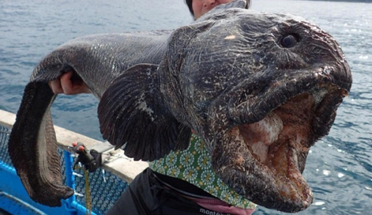 Su foto viralizó después de capturar un “pez lobo” de más de dos metros de largo. Foto: Twitter Hirasaka Hiroshi.