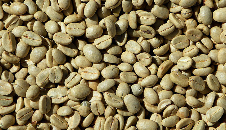 Propiedades y beneficios del café verde. Foto: Pixabay