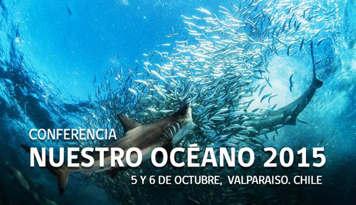 Afiche oficial de este gran evento. Foto: Gobierno de Chile. 