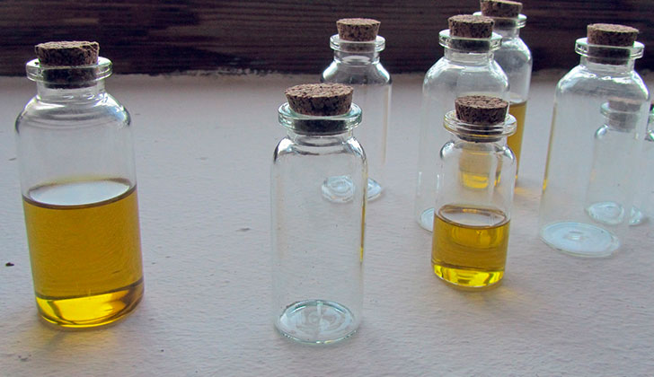 Encuentran que el aceite de Cannabis sirve para tratar la fibromialgia. Foto: Pixabay