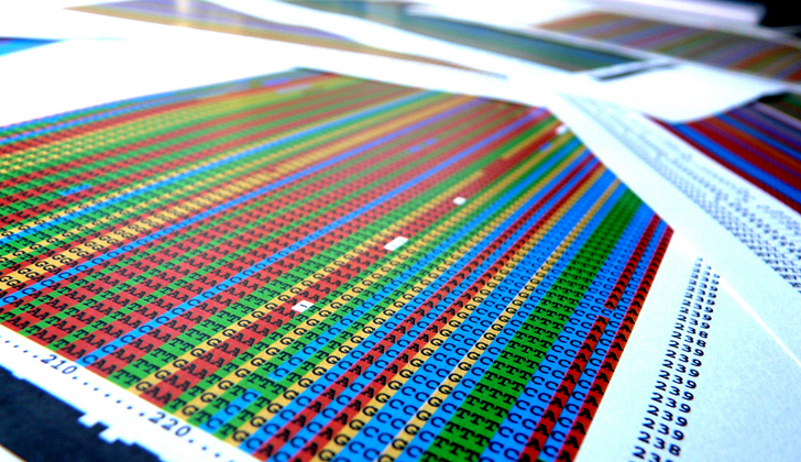 El genoma es el conjunto de genes contenidos en los cromosomas,1 lo que puede interpretarse como la totalidad de la información genética que posee un organismo o una especie en particular. Foto: Shauny Nash.