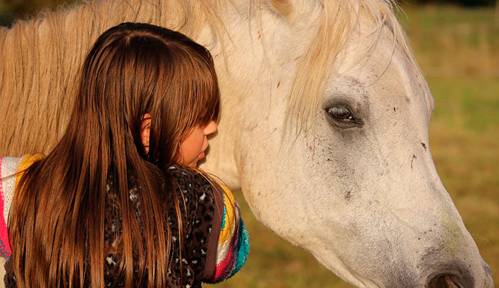 La terapia con caballos es efectiva en niños con retraso psicomotor. Foto: Pixabay