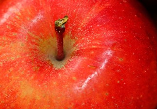 Beneficios de la cáscara de manzana para la salud. Foto: Pixabay