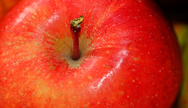 Beneficios de la cáscara de manzana para la salud. Foto: Pixabay