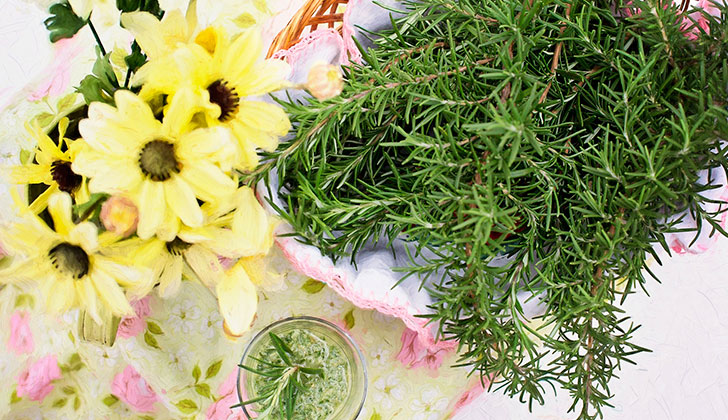 Las hierbas aromáticas podrían favorecer al cerebro. Foto: Pixabay