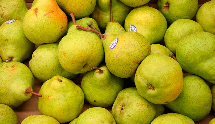 Consumir peras para mantenerse saludable. Foto: Pixabay