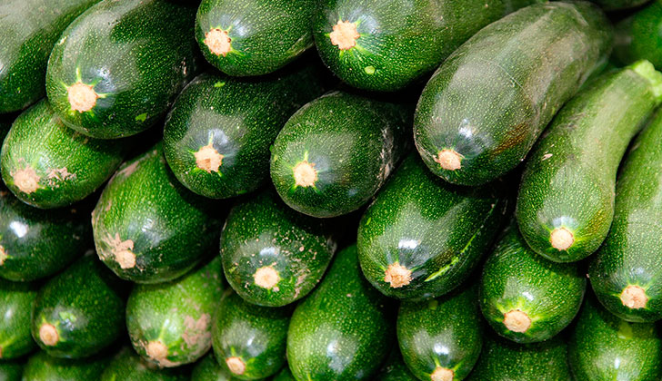 Propiedades y beneficios del zucchini. Foto: Pixabay