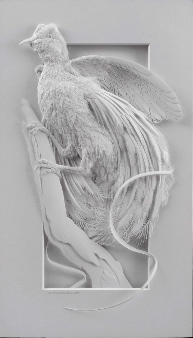 calvin-nicholls-insanely-detailed-paper-art-bird-2