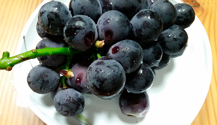 Beneficios de las semillas de uva para la salud. Foto: Pixabay