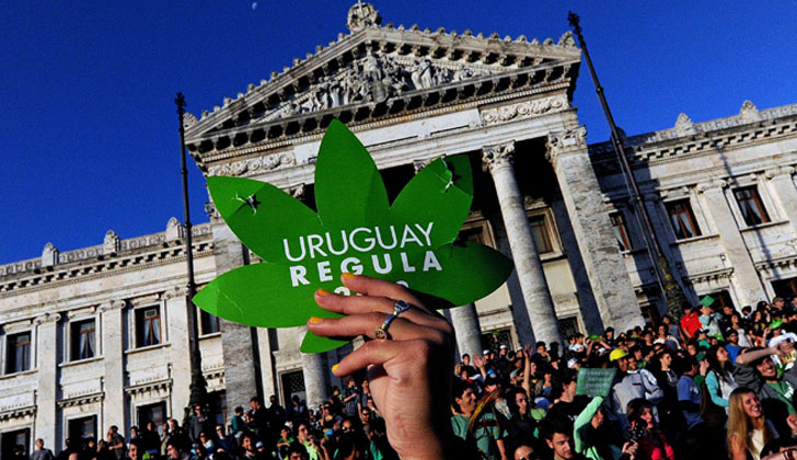Foto: cannabusiness.com.