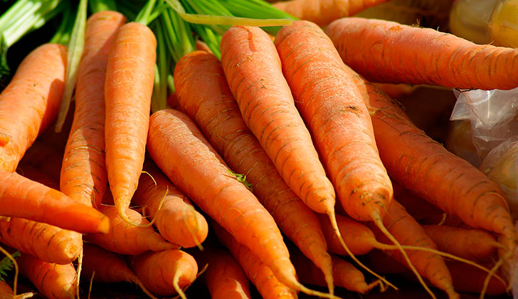 ¿Por qué deberíamos comer más zanahoria?. Foto: Pixabay