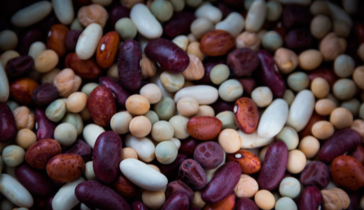 Las legumbres pueden ayudar a combatir el cambio climático. Foto: Pixabay