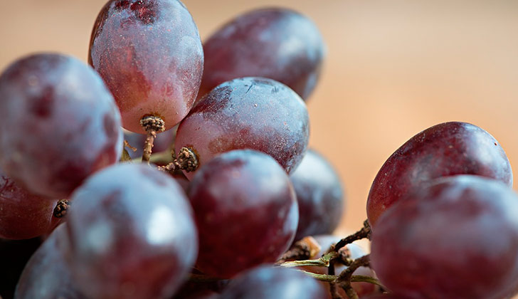 La uva es una gran fuente de nutrientes y propiedades antioxidantes . Foto: Pixabay