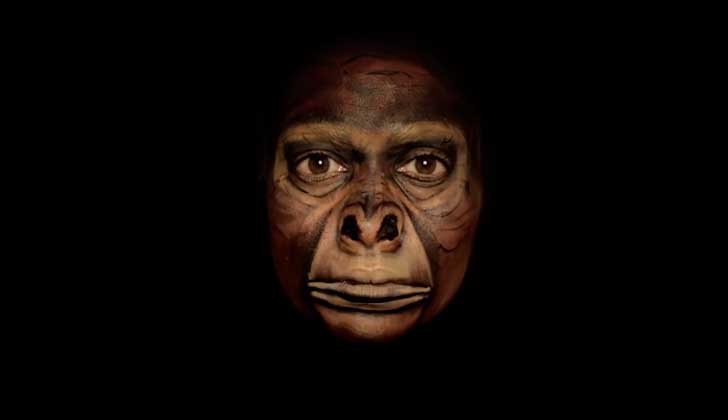 Stop-motion: Artista británica utiliza su propio rostro para mostrar la evolución de la humanidad.