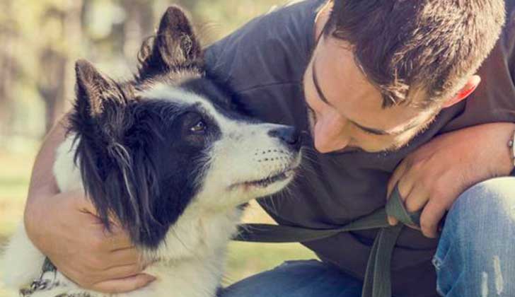 Los perros pueden ser la mejor terapia para combatir la nostalgia. Foto: Pixabay