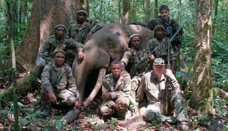 Magnate francés desplaza indígenas de Camerún para ofrecer caza de elefantes.
