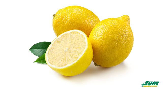 por-que-se-debe-incluir-al-limon-en-el-plan-alimenticio