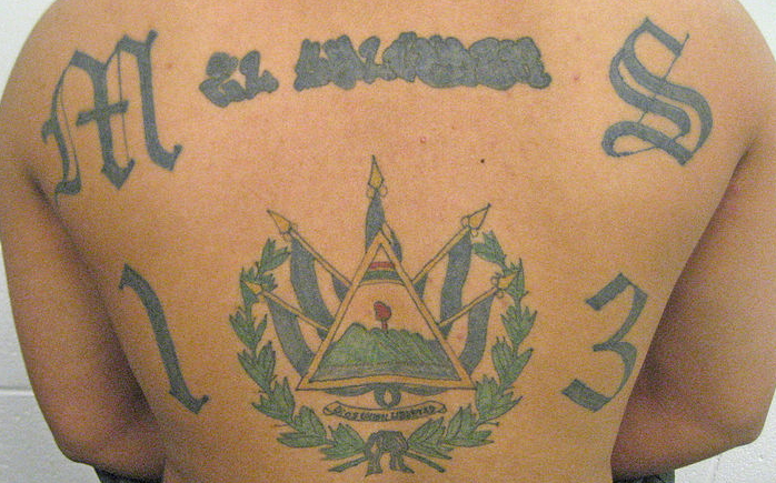 Un "marero" con las iniciales de su pandilla en la espalda, junto al escudo de El Salvador. Foto: Wikimedia Commons. 