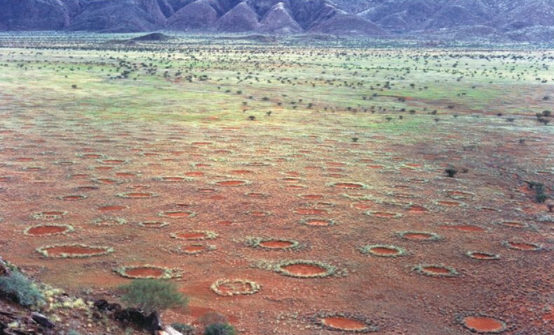 "Círculos de hadas" en el Desierto del Namib, en Namibia, África. Foto: Wikimedia Commons. 