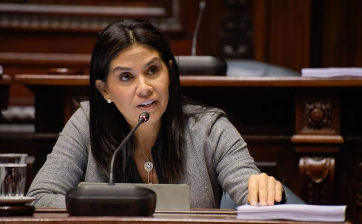 Senadora Alonso en sesión de la Cámara de Senadores / Foto: Departamento de Fotografía del Parlamento del Uruguay