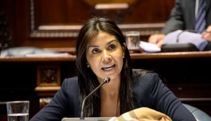 Senadora Alonso en sesión de la Cámara de Senadores / Foto: Departamento de Fotografía del Parlamento del Uruguay