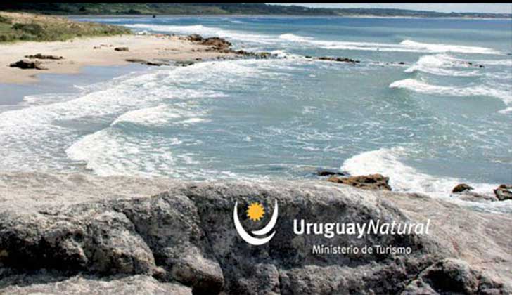 Cerca de 500 empresas usan la marca Uruguay Natural.