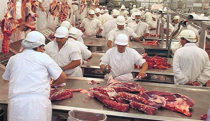 2299-Trabajadores-de-la-carne-frigorificos-614x510