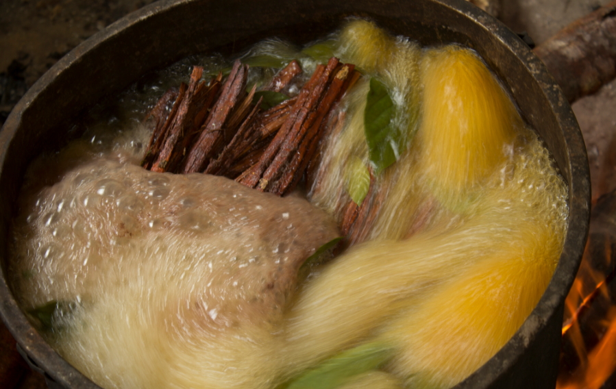 Preparación de ayahuasca con chacruna. Foto Jairo Galvis Henao. 