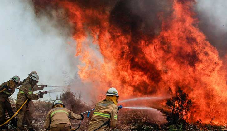 Portugal sigue luchando contra el incendio el más mortífero de su historia. Foto: EFE