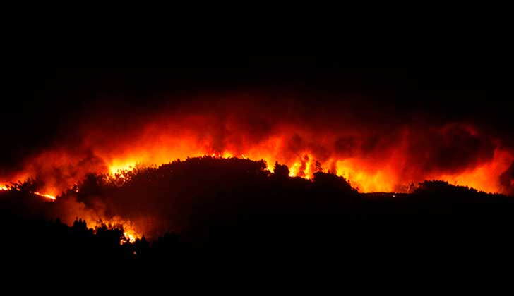 Al menos 58 muertos y 60 heridos en un gran incendio forestal en Portugal.