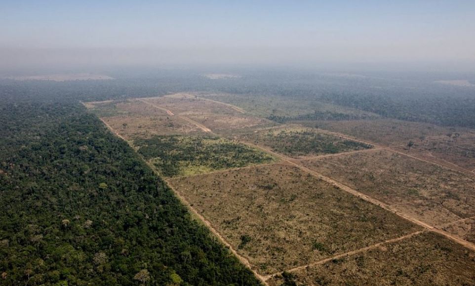 la deforestación ilegal en el Bosque Nacional Jamanxim (Foto: Daniel Beltrà / Greenpeace) 