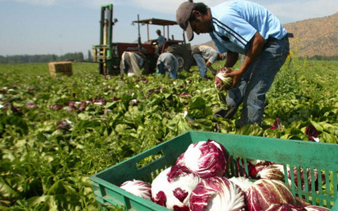 productores-pequeños-uruguay-e