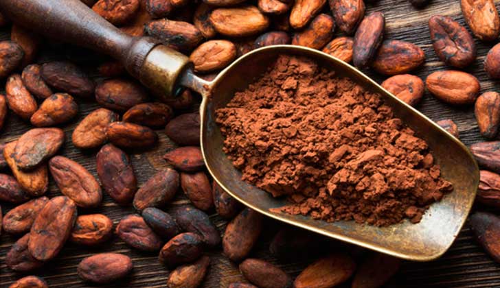 Estudio mexicano: sustancias del cacao protegen de las enfermedades cardiovasculares. Foto: Pixabay
