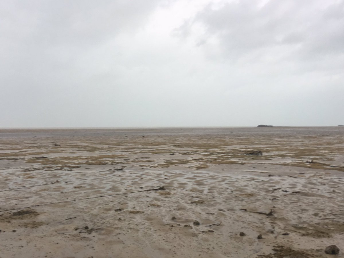 El mar se retiró de la costa en la Bahamas. Foto: Twitter/deejayeasya