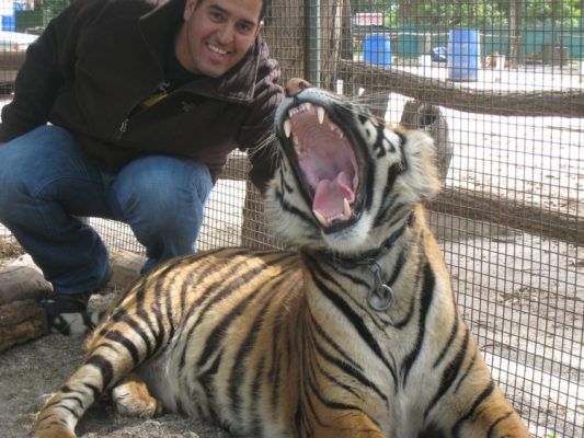 Un visitante del zoológico posa junto a un tigre de Bengala. En condiciones normales, el animal ya hubiera atacado al joven. 